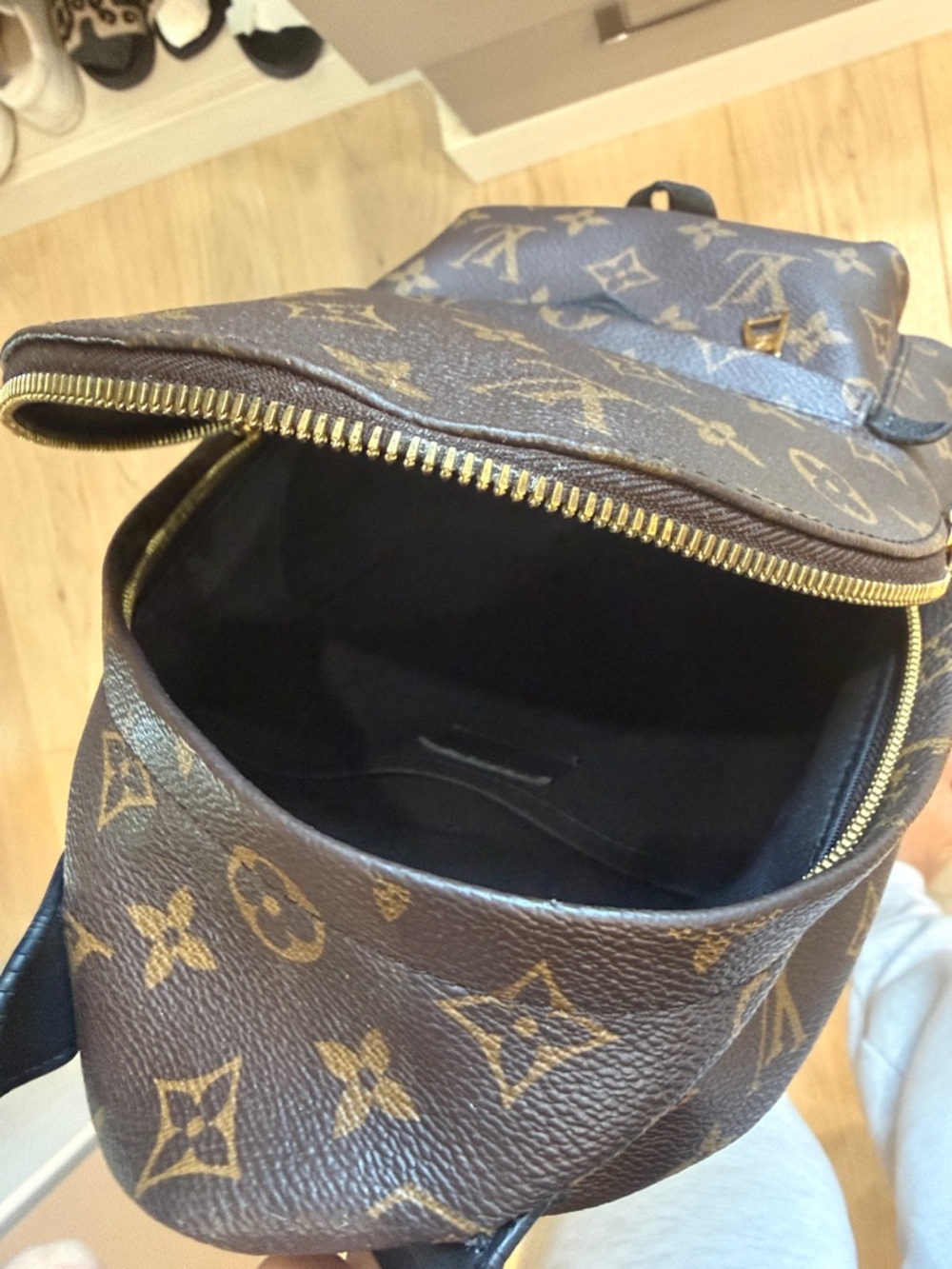 Louis Vuitton Brown Monogram Mini Backpack with Gold Hardware - Picture 8 of 12